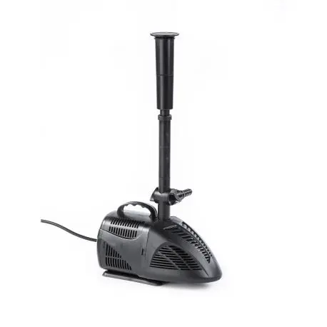 vivio 3000.webp