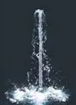 colonne de mousse 1.webp