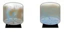 ppg de luxe 7.webp